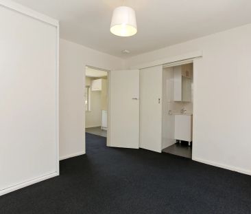 MORNING WALKS BY THE RIVER - Photo 3