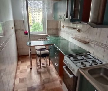 Wolne od zaraz - Photo 6