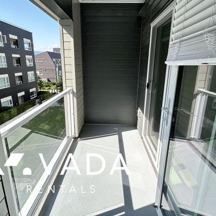 Unfurnished, Pet Friendly, 1 Bed 1 Bath Apartment For Rent - Photo 1