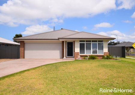 Beauty On Bowerbird - Photo 2