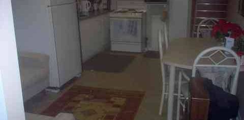 Tired of dumps? Nice furn. room in bright 3 bedroom walkout bsmt-NOW - Photo 2