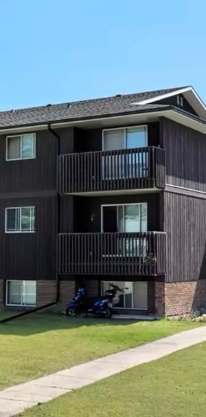 Cozy, Pet-Friendly Ground Floor Living on Michener Hill! - Photo 1