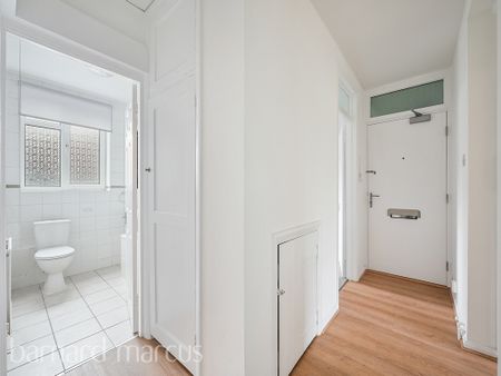 Maple Road - Photo 4