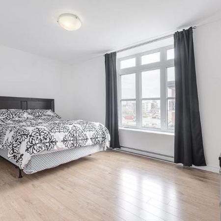 Appartement 5 ½ à louer Lévis mai 2026 - Photo 4