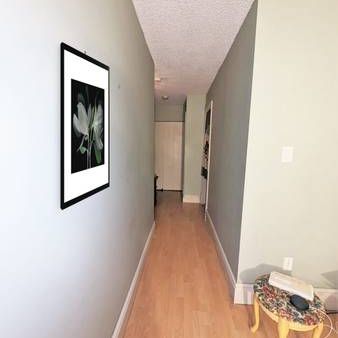 2 Bed 1 Bath Spacious Lougheed Apartment - Skytrain/SFU/Dog-Friendly - Photo 3