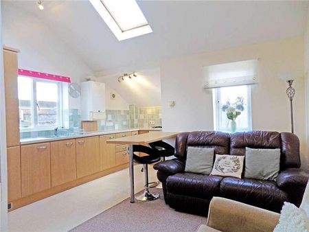 The Whipton Washtub, Summer Lane, Exeter, Devon, EX4 - Photo 4