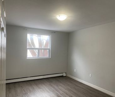 One Bedroom Apartment - Photo 4