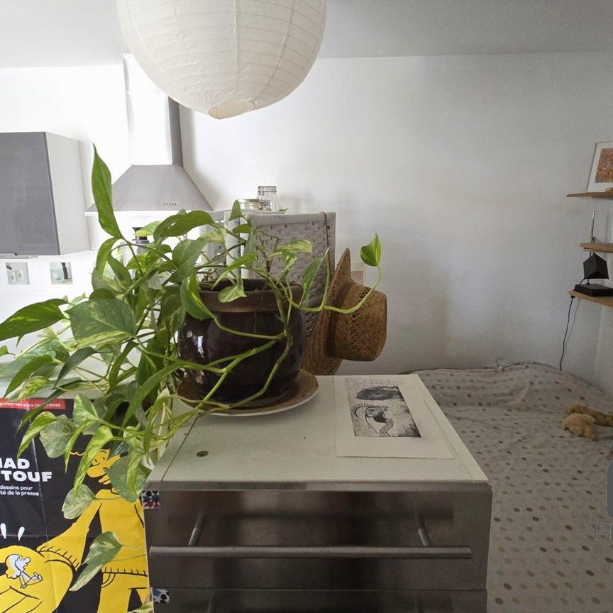 Location Appartement 1 pièce 33m² NIMES 30000 - Photo 1