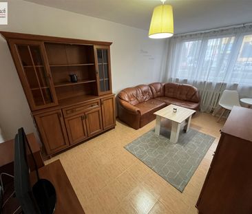 Tychy Mieszkanie na wynajem - Photo 3