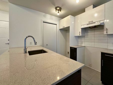 2850 Ch. Bates, Montréal (Côte-des-Neiges, QC H3S - Photo 4