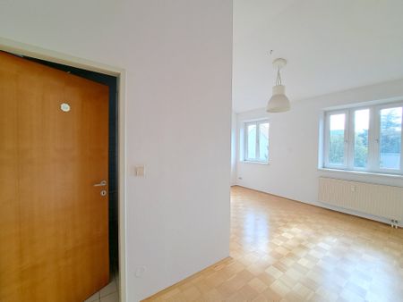 Ruhig gelegene 2 Zimmer-Wohnung in zentraler Lage, Münzgrabenstraße 80 - Top 5 - Foto 5