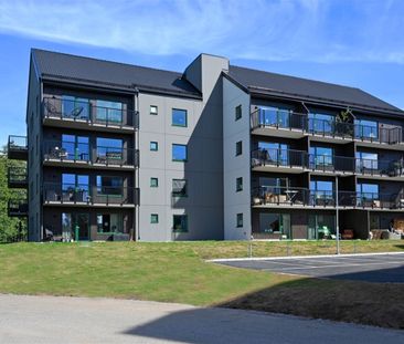 Avenboksgatan 1D - Photo 3