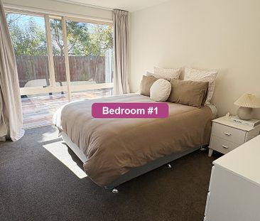 39B Nicholls St | $640 weekly - Photo 4