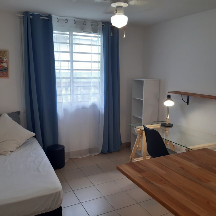 Location Appartement 1 pièce 20m² ST PIERRE 97410 - Photo 1