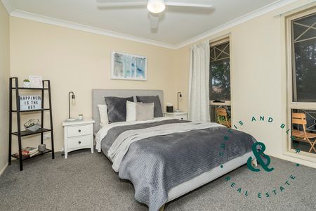 134 Kindlebark Dr, Medowie NSW 2318 - House For Rent | Domain - Photo 3