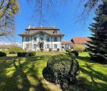 SPLENDIDE 3½ PIECES DUPLEX DANS ANNEXE D'UN CHÂTEAU BAROQUE - Foto 6