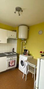 Location Appartement 1 pièce 30m² ROMANS SUR ISERE 26100 - Photo 3