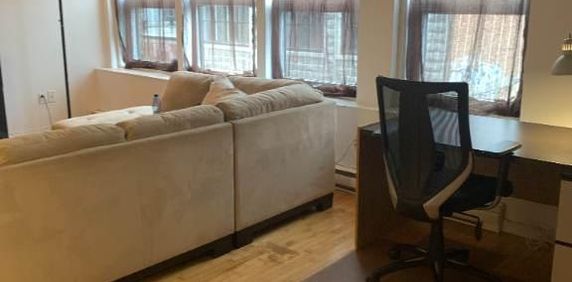 Disponible – Grand Loft 3 ½ tout inclus - Photo 2