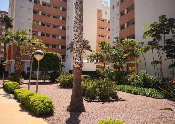Apartment in Guardamar del Segura, PUERTO, for rent