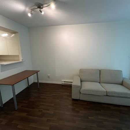 Pacific Promenade, 1 Bedroom and Den, Yaletown - Photo 4