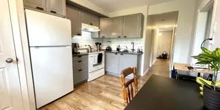 Appartement · 55 m² · Ville-Marie - Photo 3