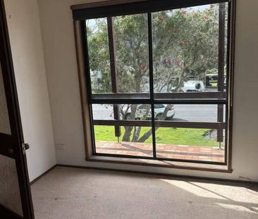 In the perfect position - Photo 3