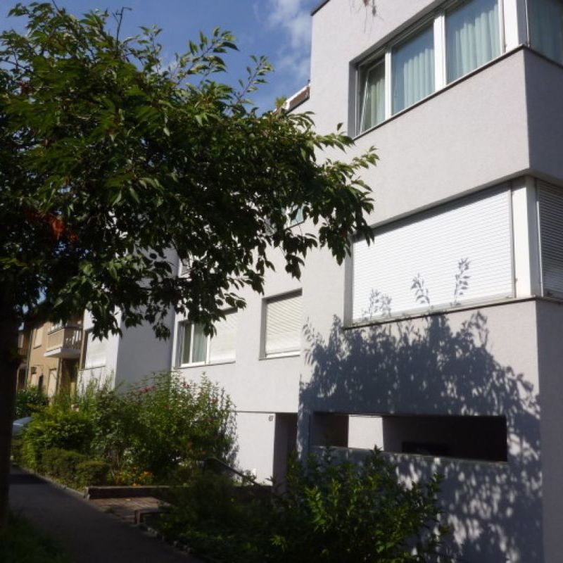 Auf dem Bruderholz, schöne 1-Zimmerwohnung zu vermieten - Photo 1