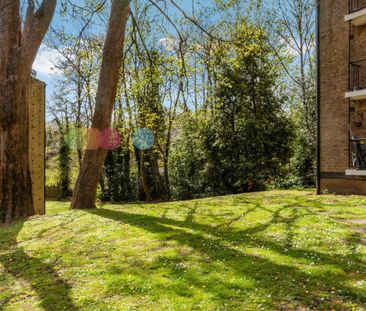 Chulsa Road - Photo 6