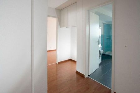 In the evening sun - Photo 5