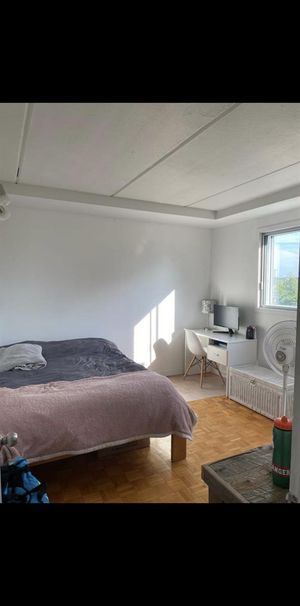 Colocataires - Photo 1
