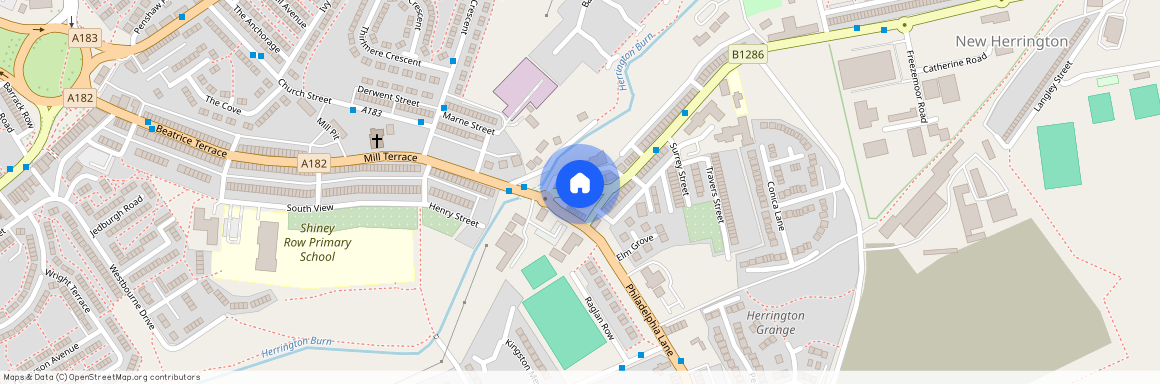 Millers Hill Houghton Le Spring