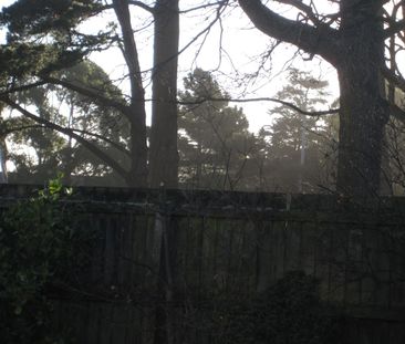 Cute Two Bedroom Unit in a Fantastic Location! - Photo 5