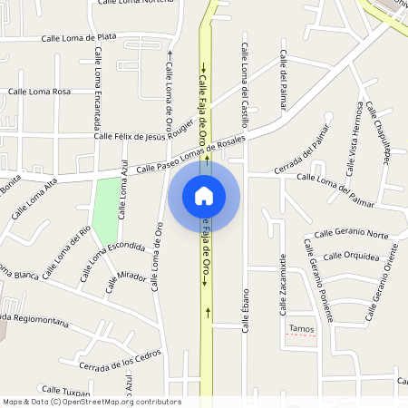 Calle Faja de Oro, 89100 Tampico, TAM, Mexico