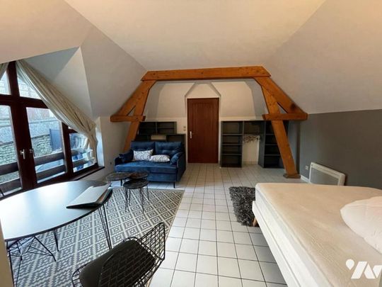 F1 meublé 31 m2 indépendant dans maison entièrement MONT-SAINT-AIGNAN - Photo 1