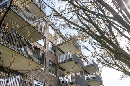 Te huur: Herman Dirvenpark 28 - Foto 4