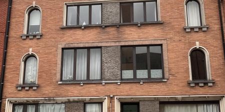 Appartement te huur in Zottegem voor € 600 met 2 slaapkamers - Photo 4