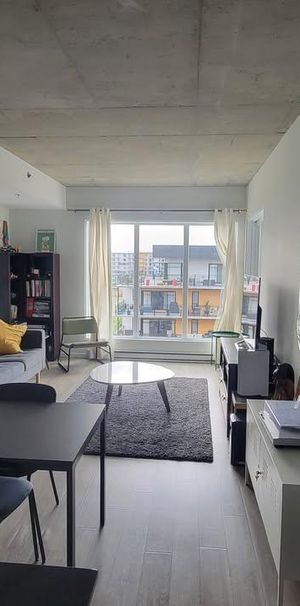 Grand 3-1/2+ (bureau + salle de lavage) - 2 MOIS GRATUITS - Photo 1