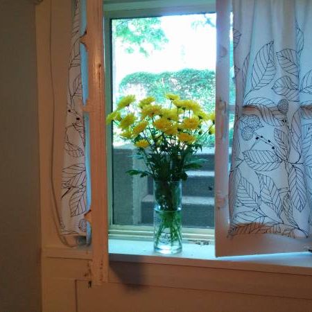 Cheerful one-bedroom basement apartment - Photo 1