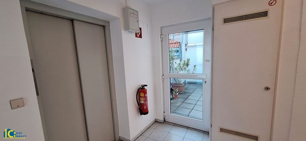 Tolle 2 Zimmer DG-Wohnung in Ruhelage inkl. Nutzung Gemeinschaftsterrasse - Foto 1