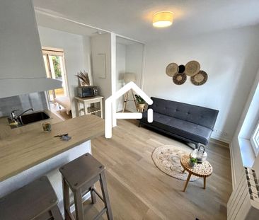 À louer : T2 MEUBLÉ AVEC TERRASSE REFAIT À NEUF TOULOUSE PATTE D'OI... - Photo 3