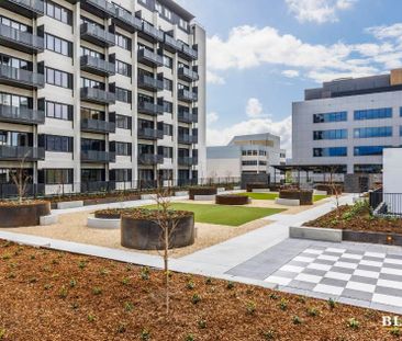 409/35 Furzer Street, Phillip ACT 2606 - Apartment For Rent | Domain - Photo 1