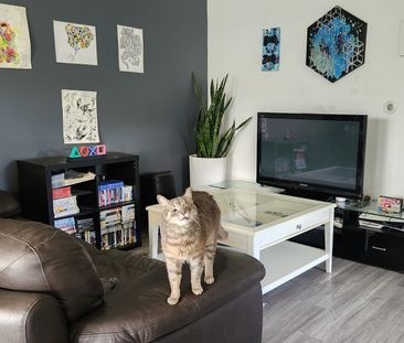 Craigieburn - Photo 1