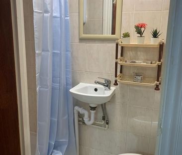 Studio Flat, Green Lanes, N13 - Photo 5