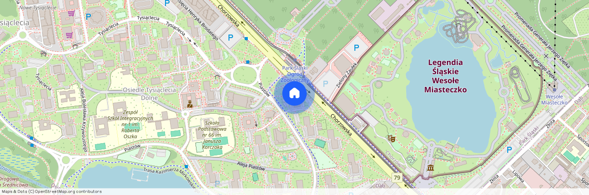 ul. Piastów, Osiedle Tysiąclecia, Katowice, śląskie