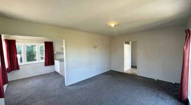 CHECK ME OUT! - Photo 1