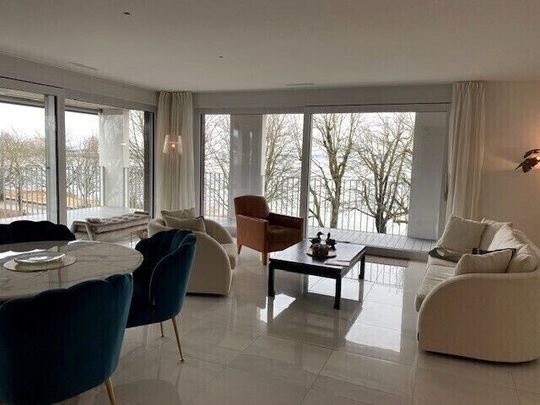 41/2-ROOM APARTMENT IN ARBON (TG), FURNISHED - Foto 1