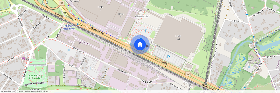 ul. Warszawska, Antonin, Nowe Miasto, Poznań, wielkopolskie