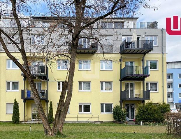 WINDISCH Immobilien - Gemütliche 2-Zi. Wohnung mit Lift und EBK - zentral in Erding! - Photo 1