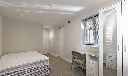 Stylish 4-Bed Ensuite Student House on Vibrant Ecclesall Road - Photo 4