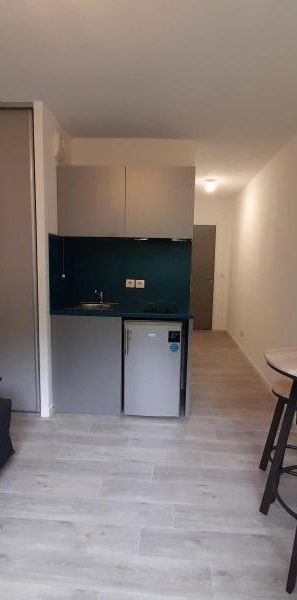 Location Appartement 1 pièce 20m² CALUIRE ET CUIRE 69300 - Photo 1